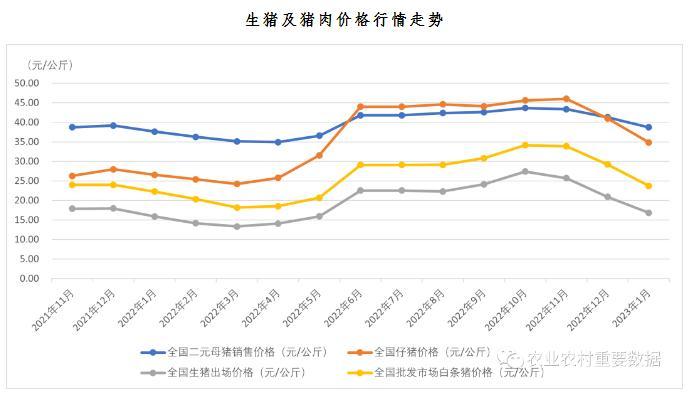 农业农村部：1月全国批发市场白条猪每公斤23.72元 环比下降18.8%