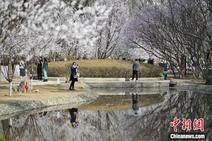 推进文旅商融合 第32届天津运河桃花文化商贸旅游节开幕