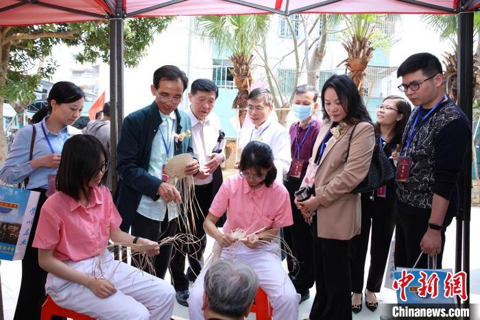 与会专家参观新会葵艺传承基地 麦瑞聪 摄