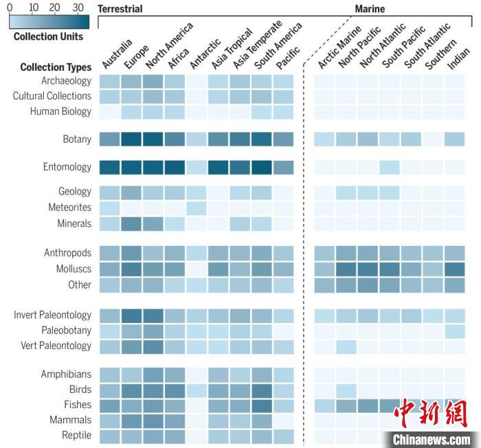 全球自然藏品单元热图。　中科院古脊椎所 供图