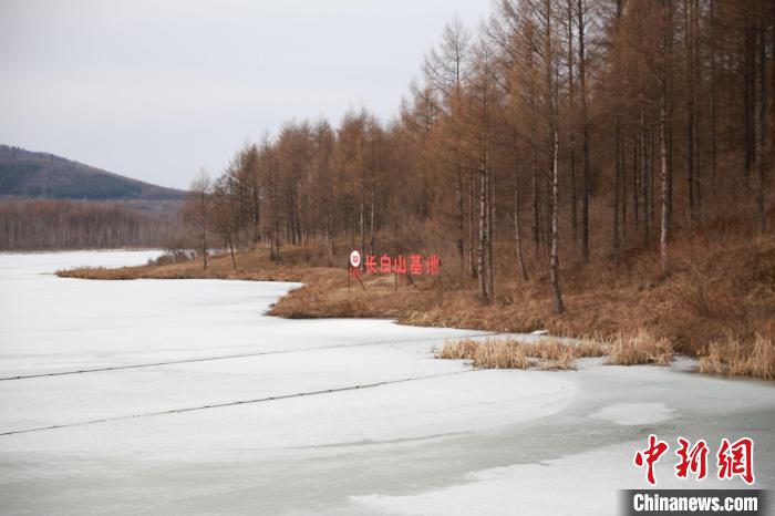 湖州大闸蟹长白山养殖基地 徐震 供图