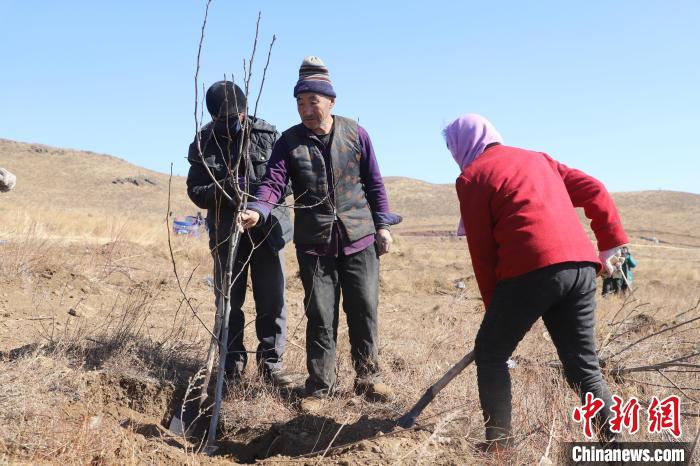 图为村民参与“以工代赈低产林改造项目”在山地上植树。　曾令刚 摄