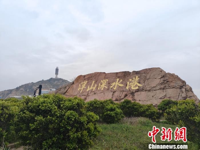 探访洋山深水港：向海而兴，港城共荣