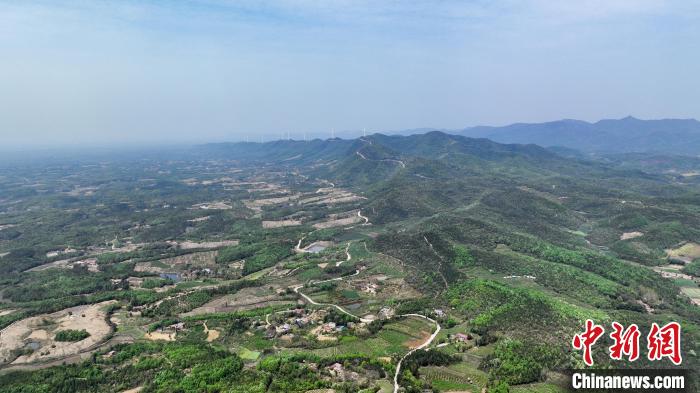 航拍大洪山西南麓的钟祥张集镇，此地自古就有挖葛捶粉、提篮小卖的传统 吴淘淘 摄