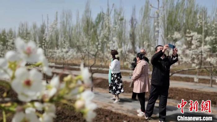 山西太原，当地以花为媒、以节引流，“追花者”催热城郊游。图为游人穿行花间，用镜头定格美好瞬间。　太原市小店区融媒体中心供图