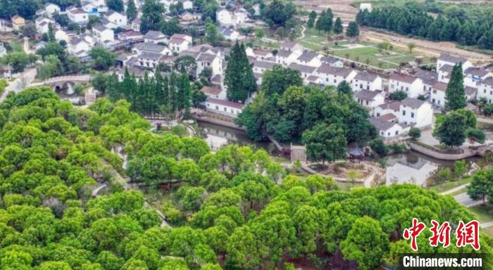 南京江宁区石地村，绿树、村庄构成了一幅和谐的生态画卷。(资料图) 泱波 摄