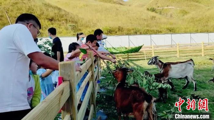 在鸳鸯草场，游客开展牧羊体验。　宁德市文化和旅游局 供图