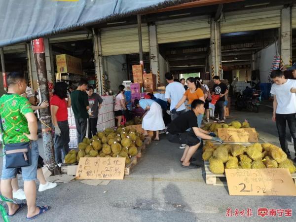 不到百元可“拿下”一个榴莲！南宁人有口福