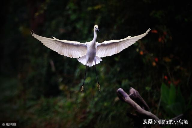 为什么周四15：00点后，买货币基金很不划算怎么样购买最划算