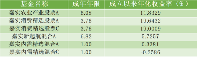 嘉实基金权益经理排行：肖觅收益最高，总监洪流新人田光远垫底