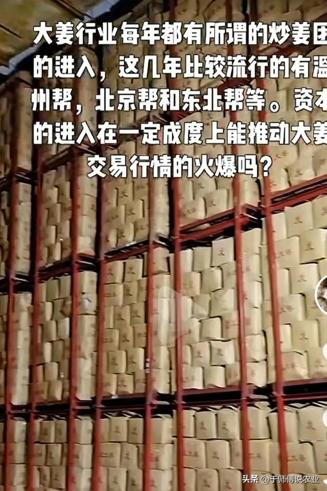 窖、库姜的存量分析