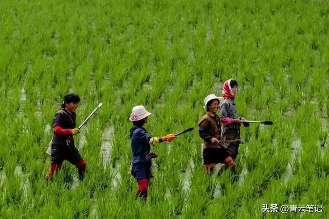 拿着一万元人民币可以在朝鲜生活多久，答案出乎人的意料！