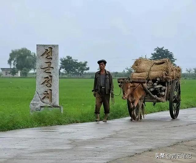 拿着一万元人民币可以在朝鲜生活多久，答案出乎人的意料！