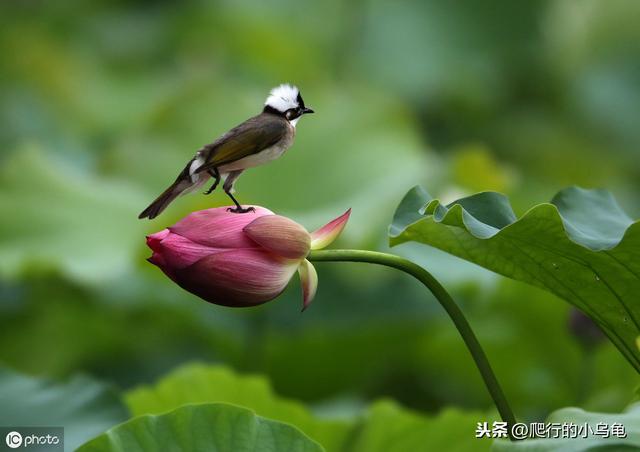 为什么周四15：00点后，买货币基金很不划算怎么样购买最划算