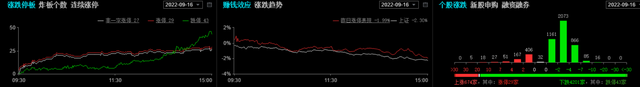 人民币贬值，券商砸盘，未来股市何去何从