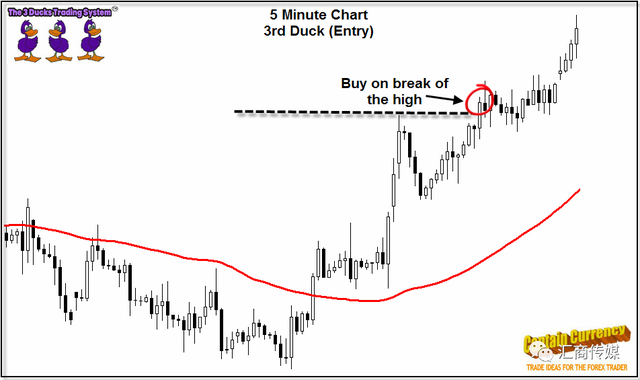 “三只小鸭”交易系统：为何如此深受交易者青睐答案在这里