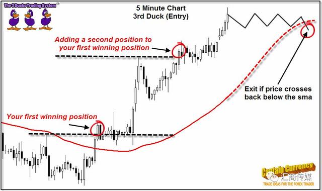 “三只小鸭”交易系统：为何如此深受交易者青睐答案在这里