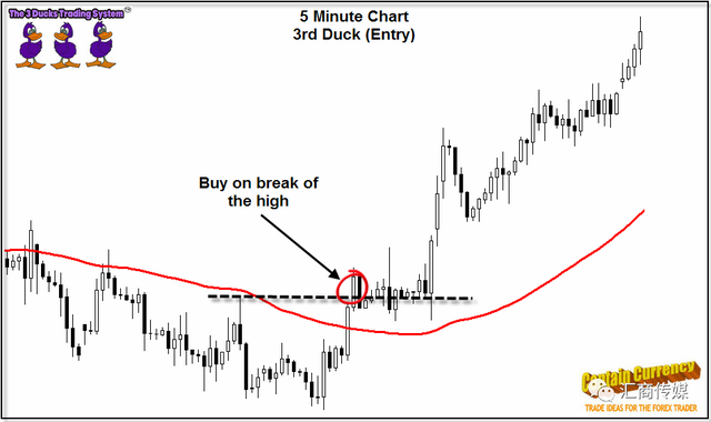 “三只小鸭”交易系统：为何如此深受交易者青睐答案在这里