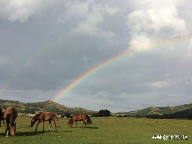 ​理财市场全是雷！骗子都怕这三个问题