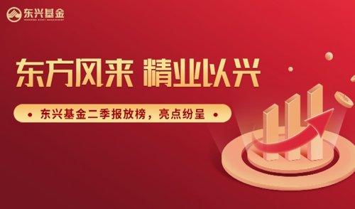 1年非货翻5倍！这家“小而美”基金公司为何广受青睐