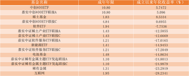 嘉实基金权益经理排行：肖觅收益最高，总监洪流新人田光远垫底