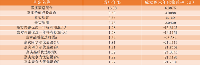 嘉实基金权益经理排行：肖觅收益最高，总监洪流新人田光远垫底