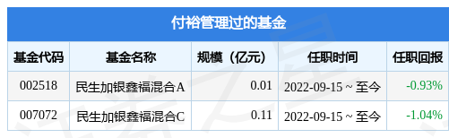 民生加银聚利6个月混合A基金经理变动：增聘付裕，谢志华为基金经理