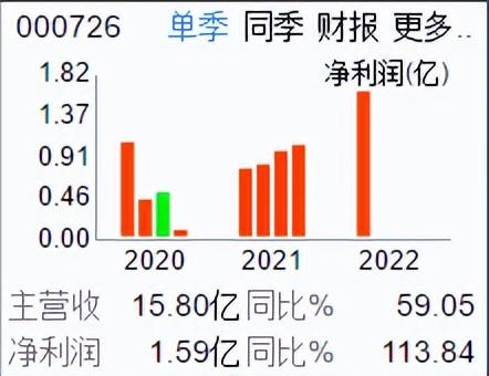 低价、高增长、受益人民币贬值、纺织服装之鲁泰A（000726）