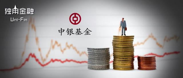 中银基金单只债基规模缩水61%，重仓的哪只债券“拖后腿”了