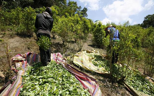 你知道吗在我国之外还有一个地区，人口有60万，说汉语用人民币