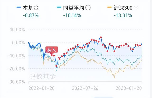 万万没想到！定投一年，葛兰跑赢杨金金！