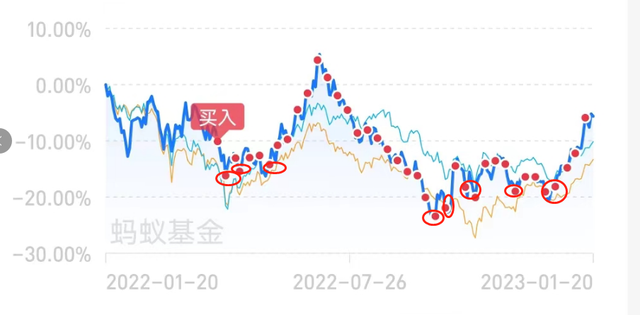 万万没想到！定投一年，葛兰跑赢杨金金！