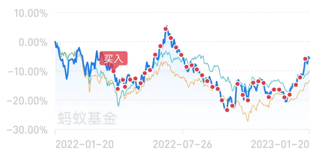 万万没想到！定投一年，葛兰跑赢杨金金！