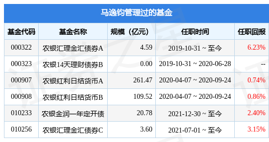 农银红利日结货币基金经理变动：增聘马逸钧为基金经理