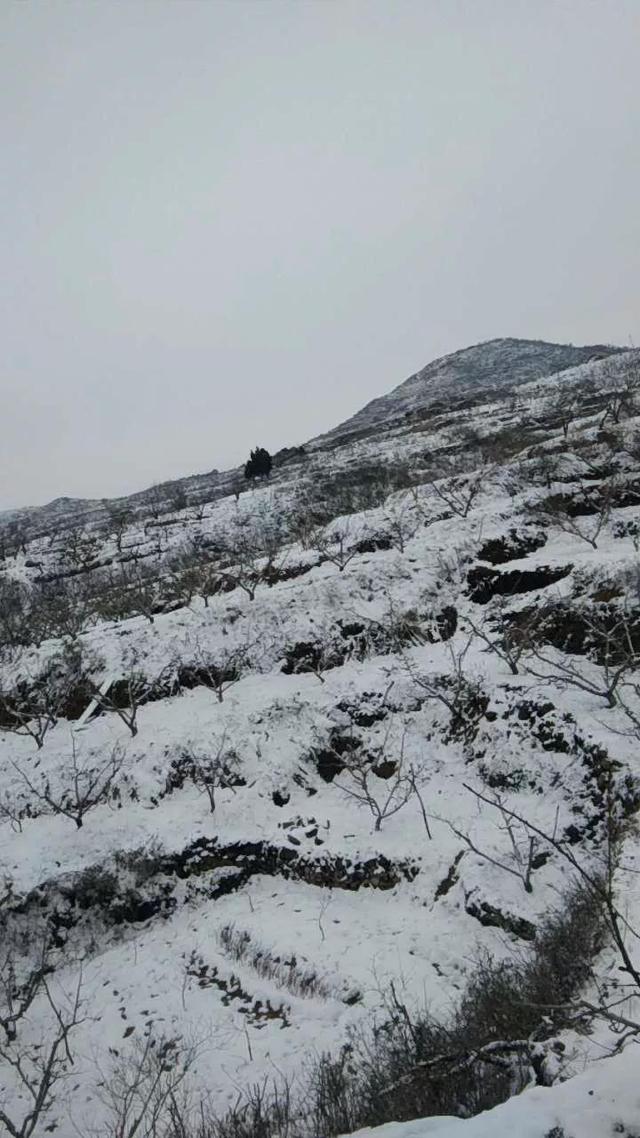 熏獾套狸子，农村很多技巧都消失了，大伯捉獾从没失手过