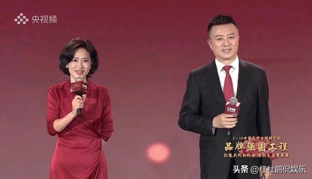 2023年从央视辞职的女主持人去向已定，2位继续深造，2位搞老本行