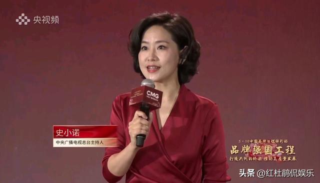 2023年从央视辞职的女主持人去向已定，2位继续深造，2位搞老本行