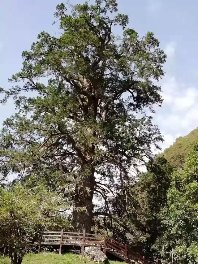 最美的风景在路上，苗岭知秋·云游神农