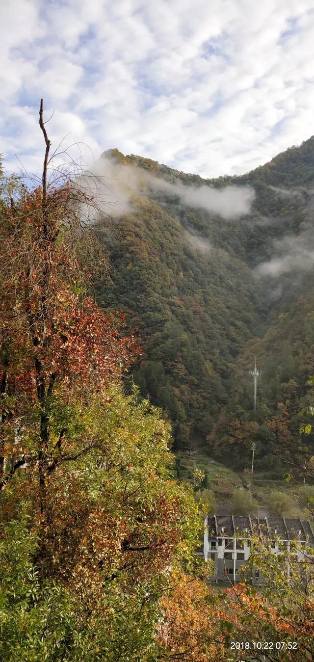 最美的风景在路上，苗岭知秋·云游神农