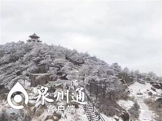 冻到“发紫”！厦门最低1℃！福建今冬第一场雪要来了