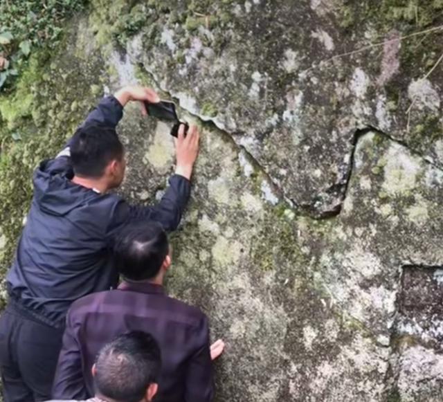 萍乡石缝蛇成网红，各路主播纷纷前来直播，背后有一个美丽的传说