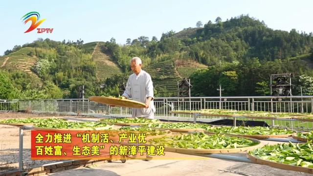 水仙茶传承人上省电台“带货” 为漳平水仙茶代言