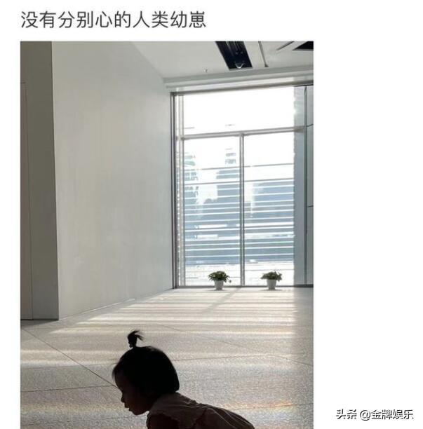 东方卫视的一姐陈辰，毫无征兆地加入凤凰卫视当主持人