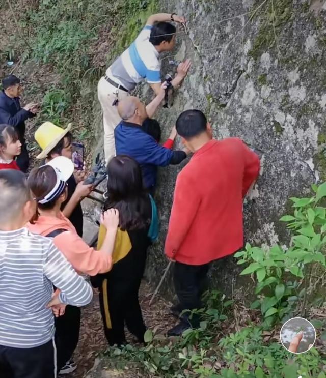 萍乡石缝蛇成网红，各路主播纷纷前来直播，背后有一个美丽的传说