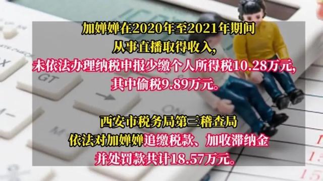 小主播贾亚亚、加婵婵涉嫌偷逃税款被税务机关处罚