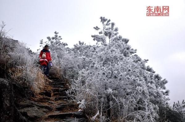 冻到“发紫”！厦门最低1℃！福建今冬第一场雪要来了