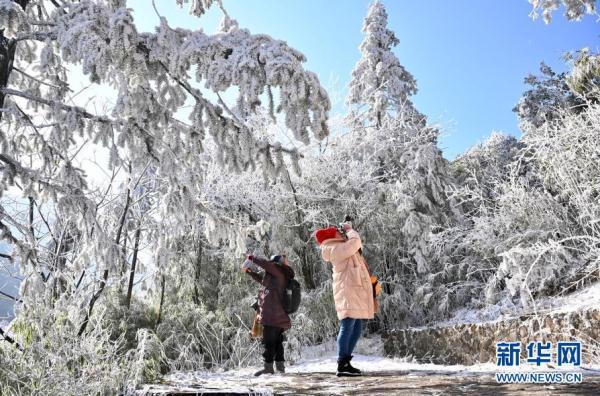 冻到“发紫”！厦门最低1℃！福建今冬第一场雪要来了