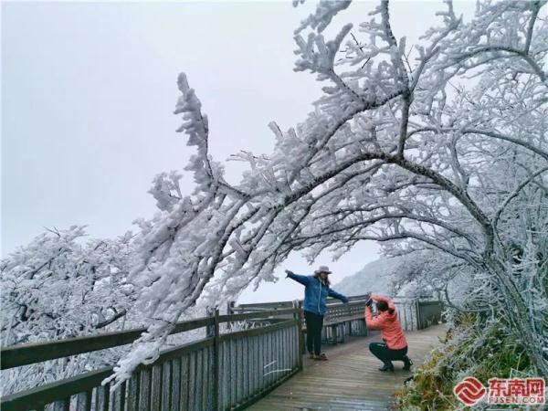 冻到“发紫”！厦门最低1℃！福建今冬第一场雪要来了