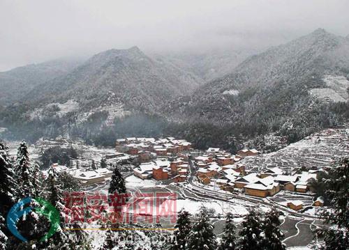 冻到“发紫”！厦门最低1℃！福建今冬第一场雪要来了