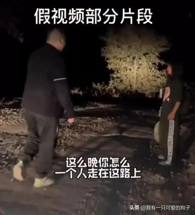 网红靠流浪狗直播牟利，给100元诱导拍摄，善心不能作为流量密码